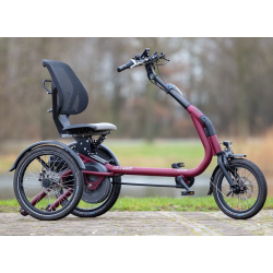 Vélo électrique Easy Rider...