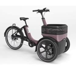Elektrofahrrad THUJA