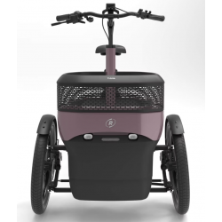 Elektrofahrrad THUJA