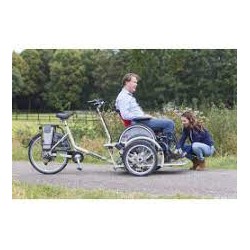 Elektrischer Rollstuhltransporter Velo-Plus