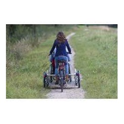 Elektrischer Rollstuhltransporter Velo-Plus
