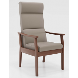 Fauteuil Liza fixe